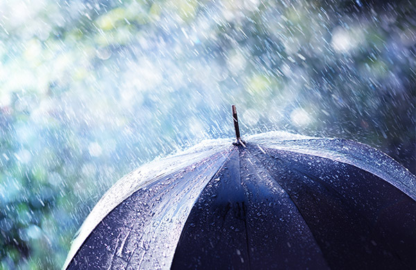 Competition and consumer law and regulatory disputes